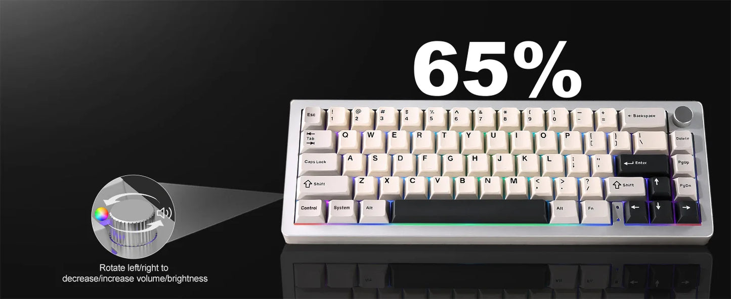 Wired Hot Swap Gasket Mounted RGB Mechanical Gaming Keyboard
