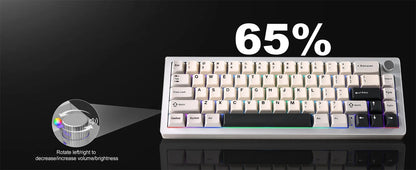 Wired Hot Swap Gasket Mounted RGB Mechanical Gaming Keyboard
