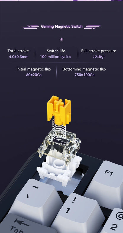 Swappable Mechanical Gaming Keyboard with Magnetic Switch